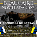 NOVILLOS BEAUCAIRE 2022 : 6 CONDESSA de SOBRA 6