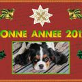 Bonne année 2012