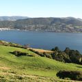 Otago Peninsula