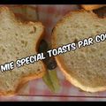 PAIN DE MIE SPECIAL TOASTS