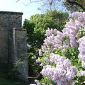 De Crest aux ocres du Luberon!