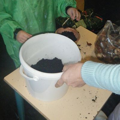 PLANTATIONS Après avoir peint et vernis les pots,