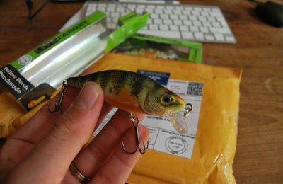 LIVETARGET : perchaude Yellow Perch 