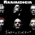 Rammstein & Combichrist - Arena