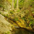 Reimer's Ranch Park