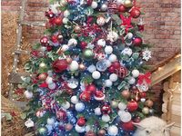 Les sapins