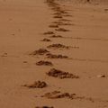 Des pas sur le sable