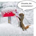 C'EST NOEL AVANT L'HEURE, QUI VEUT GAGNER UNE DESSERTBOX ?