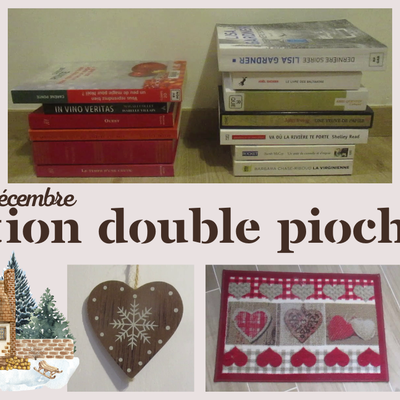 🎀 Mes p'tites chroniques littéraires (et autres) de décembre...