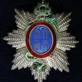 Ordre Impérial du Dragon de l'Annam - Plaque de grand-croix, France, début du xxe siècle.