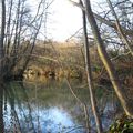 Les Bords du Loiret - En Décembre 