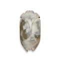 A calcified jade cicada, Han dynasty