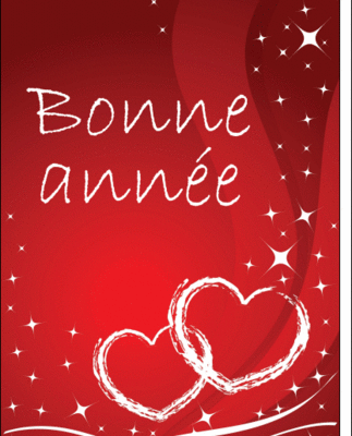 BONNE ANNEE 2011