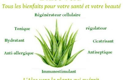 LES BIENFAITS DE L'ALOE VERA EN INTERNE