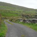 Typical irish landscapes