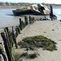 Cimetière des bateaux