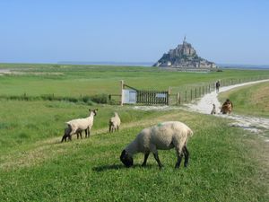 LE SENTIER DES DOUANIERS