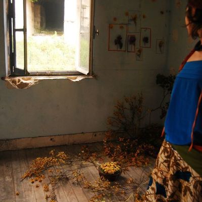 instal' (plan d'évasion n°2)