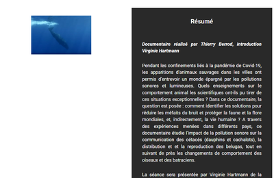 RAPPEL Projection du 7 août 2024