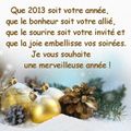  ****************** BONNE ANNEE 2013 **********