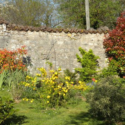 1er Avril le jardin