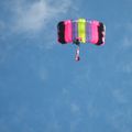 J'ai enfin réussi à avoir les parachutistes en photo