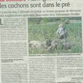 Opération de ferme en ferme: cochons à la Boissière (article du ML)