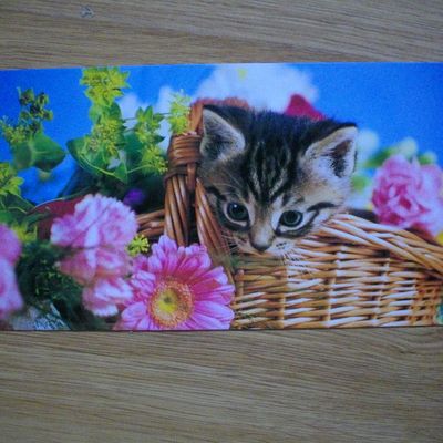 Et une carte poste de LO !