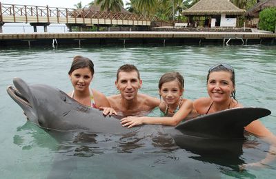 Dolphincenter de Moorea