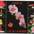 ILE DE LA REUNION EDITIONS: COLETTE BEAUGET