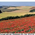 PAYSAGE AGRICOLE BOULONNAIS