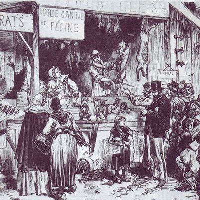LES CHIENS DANS LA GUERRE DE 1870