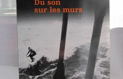 Du son sur les murs, de Frantz Delplanque