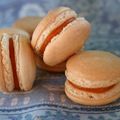 Macarons de Noël: au potimarron et à l'orange amère