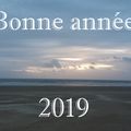 Bonne année 2019