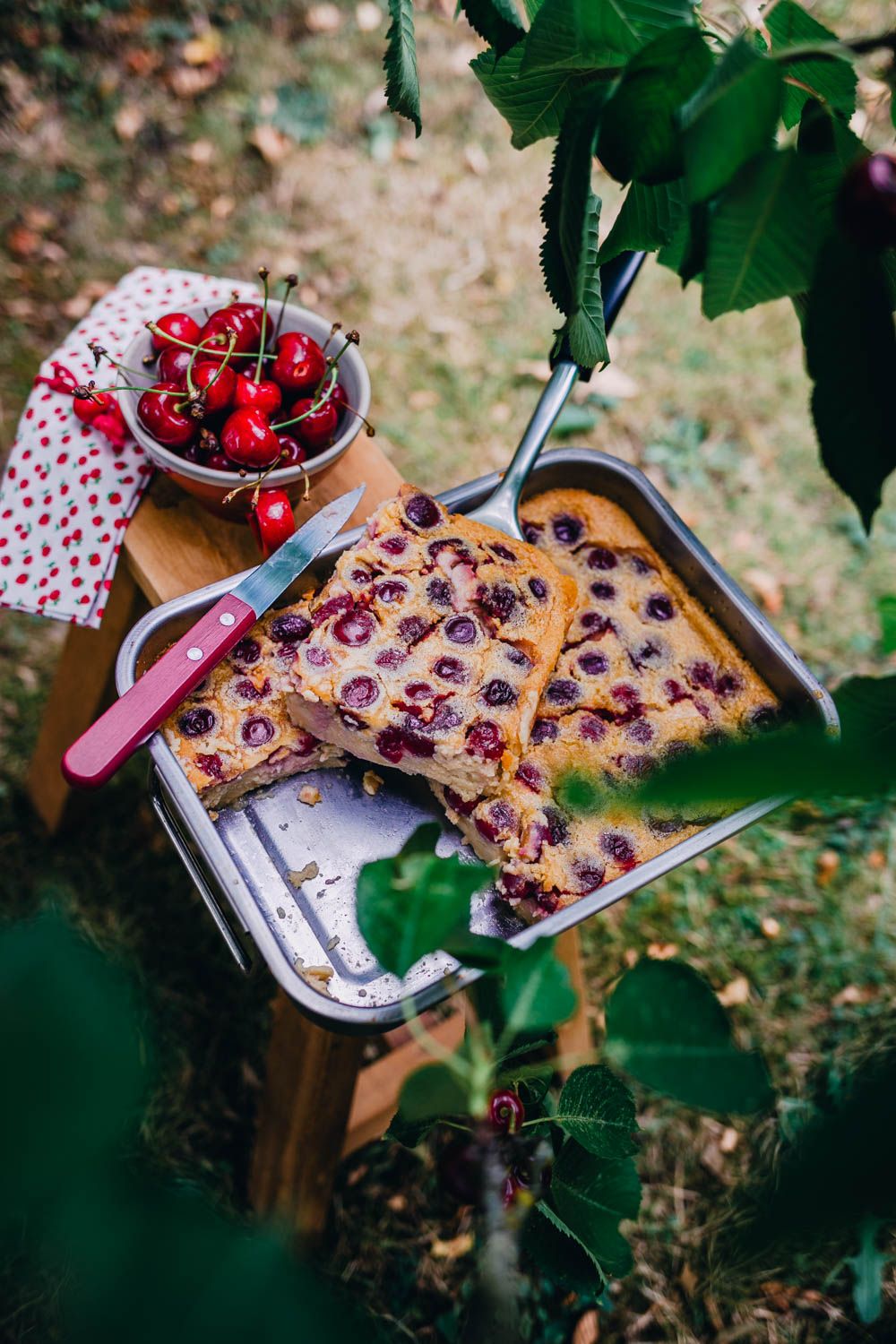 clafoutis aux cerises, clafoutis crémeux, comme un flan, recette d'été, estivale, recette facile, cerises