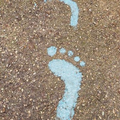 2024 AJAK - Point des actions Banque Céréalière et Moutons à Crédit à fin juillet