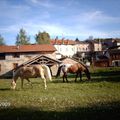 Suite de Portieux au gîte du Pilan