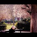 Hors-série rose.