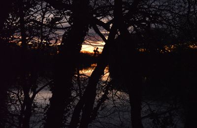 Pont Fourques suite.