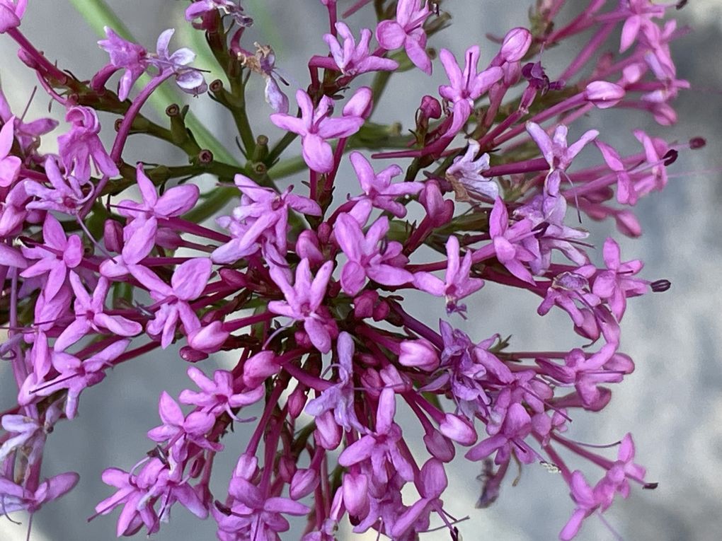 Jeudi 30 octobre 2025: Accès :  à pied depuis le centre-ville de Châtelguyon