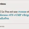 Marion Maréchal-Le Pen insultée de "conne et salope" sur Twitter face à l'indignation sélective