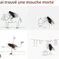 Une mouche morte... (esprit Dada ?)