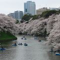 Dimanche gris à Chidorigafuchi