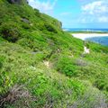 Petit regard vers la Guadeloupe 