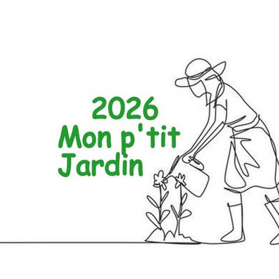 Les Ambiances JARDINALES  après un premier gros nettoyage 