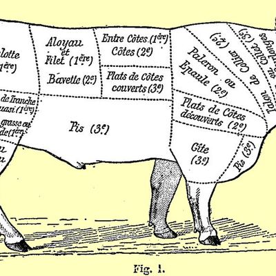 Le 1° janvier 1794 à Nogent-le-Rotrou : viande pour les volontaires.