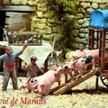 Foire aux cochons !