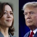 Immigration, Criminalité, Energie; Trois sujets où le Bilan de Trump l'emporte sur celui de l'administration  Biden-Harris