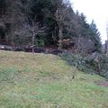 LA TEMPÊTE " ELEANORE " EST PASSÉE A BOURBACH-LE-HAUT